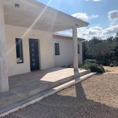 Magnifique Villa Classee 4* Meuble De Tourisme Flassans-sur-Issole Ngoại thất bức ảnh